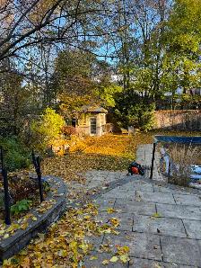 Spring Lawn Cleanup - Photo 6