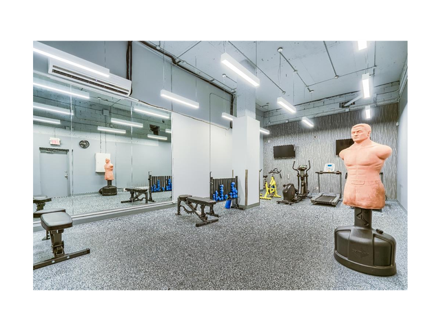 bach Apartment for Rent - 15 Dundonald Street - Photo 8