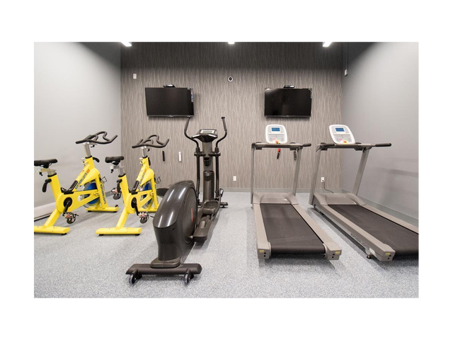 bach Apartment for Rent - 15 Dundonald Street - Photo 9