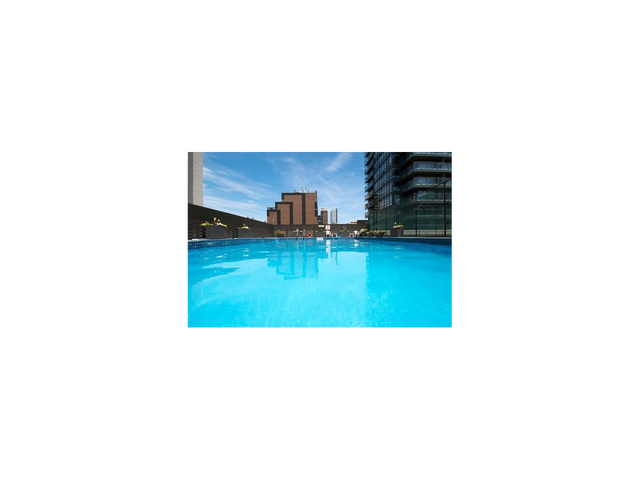 1bdrm Apartment for Rent - 15 Dundonald Street - Photo 7