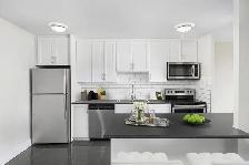 2 Bedroom Apartment for Rent - 7230 Darcel Ave - Photo 15