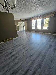 construction &renovation helper