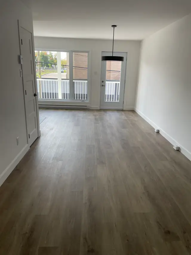 Magnifique 4 1/2, Avenue Plante, Libre - Photo 3