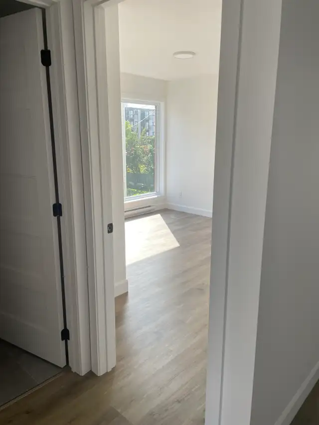 Magnifique 4 1/2, Avenue Plante, Libre - Photo 5