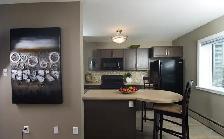 St Vital - 1 BR - June 1st / Caretaker position available! - Photo 2