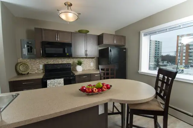 St Vital - 1 BR - June 1st / Caretaker position available! - Photo 3