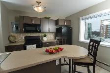 St Vital - 1 BR - June 1st / Caretaker position available! - Photo 3