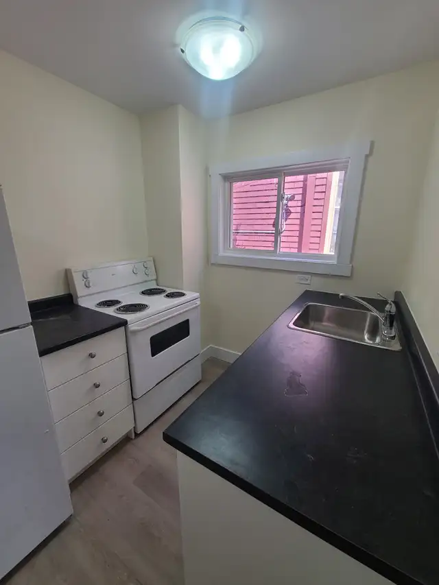 Downtown 1BR - Private Unit - Aug 1st - Heat & Water Included! - Photo 8