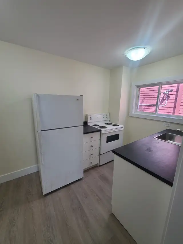 Downtown 1BR - Private Unit - Aug 1st - Heat & Water Included! - Photo 9