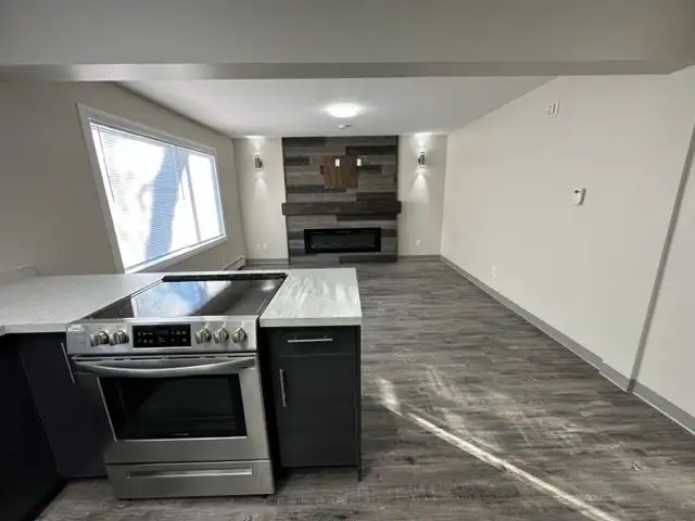 BRAND NEW 2 BR available May 1st - Photo 4