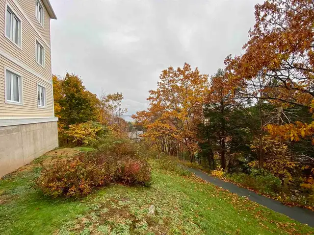 23-028 2 bed condo nestled in the heart of Bedford - Photo 2