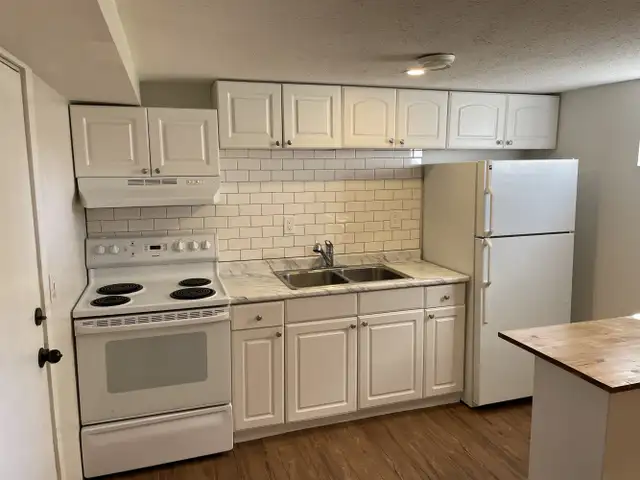 ALL UTILITIES INCLUDED! Cat Friendly Lower Suite! - Photo 2