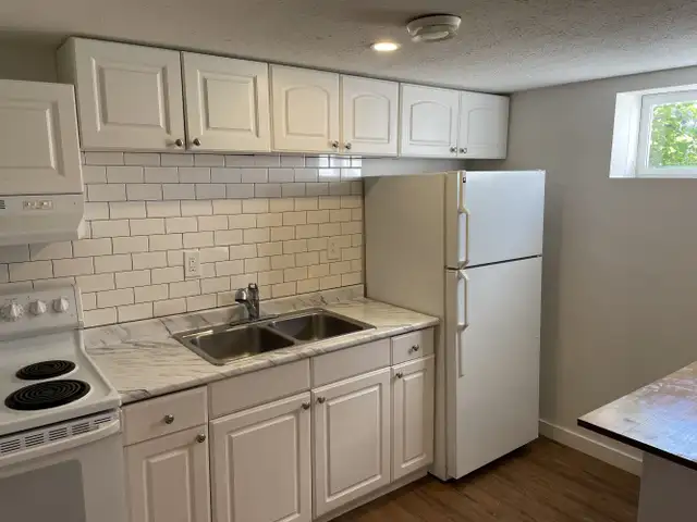 ALL UTILITIES INCLUDED! Cat Friendly Lower Suite! - Photo 3