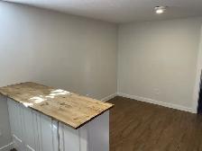ALL UTILITIES INCLUDED! Cat Friendly Lower Suite! - Photo 4