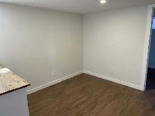 ALL UTILITIES INCLUDED! Cat Friendly Lower Suite! - Photo 5