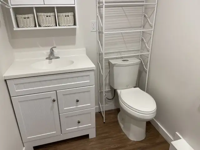 ALL UTILITIES INCLUDED! Cat Friendly Lower Suite! - Photo 9