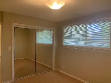 FANTASTIC LOCATION! Modern 2 Bedroom Unit ~ Washer and Dryer - Photo 9