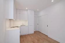 Renovated 1 bed 1 bath near UDEM on Van Horne & CDN - ID 1952 - Photo 4