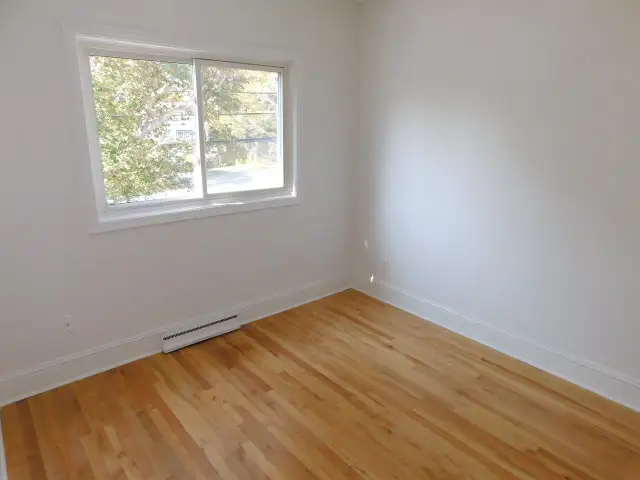 HFX Peninsula Upper Flat/2bed den/1bath/Heat-pump - VIDEO TOUR! - Photo 5