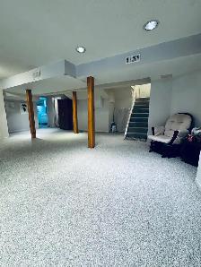 Basement Apartment - Photo 4