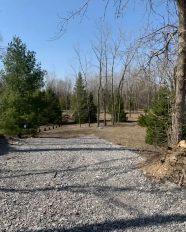 Lot for Sale - Photo 10