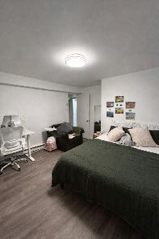 Grand 5 1/2  Disponible 1er juin - Photo 3