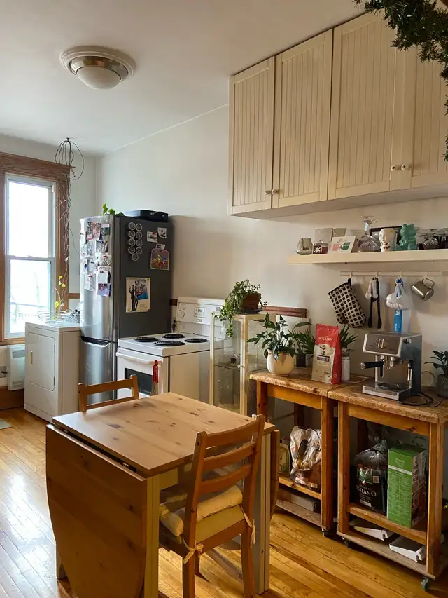 4 1/2 Rosemount - Photo 5