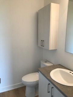 Très grand 4 ½ à Napierville  – libre 1er juillet 2026 - Photo 9