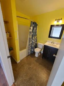 Semi-Furnished 1 Bed/1 Bath Carriage house in SOOKE BC - Photo 6