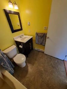 Semi-Furnished 1 Bed/1 Bath Carriage house in SOOKE BC - Photo 7