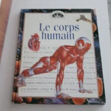 GRAND LIVRE NEUF ADO 10à12 POUCES LE CORP HUMAIN 64 PAGES $5.00