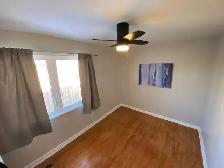 Room for rent near UTSC - Photo 5