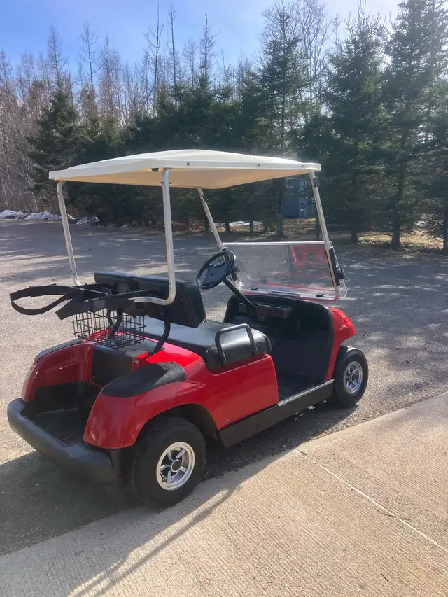 G14 Yamaha Gas Golf Cart - Photo 3