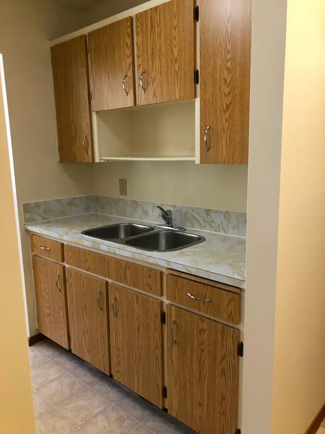 Large 2 Bedroom Apartment w Balcony, N-Ward - Photo 2