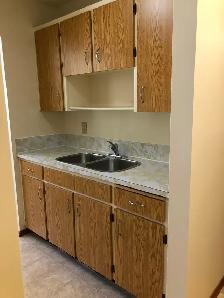 Large 2 Bedroom Apartment w Balcony, N-Ward - Photo 2