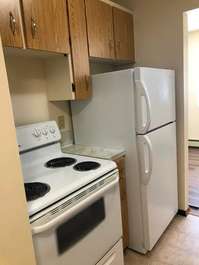 Large 2 Bedroom Apartment w Balcony, N-Ward - Photo 3