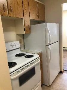 Large 2 Bedroom Apartment w Balcony, N-Ward - Photo 3