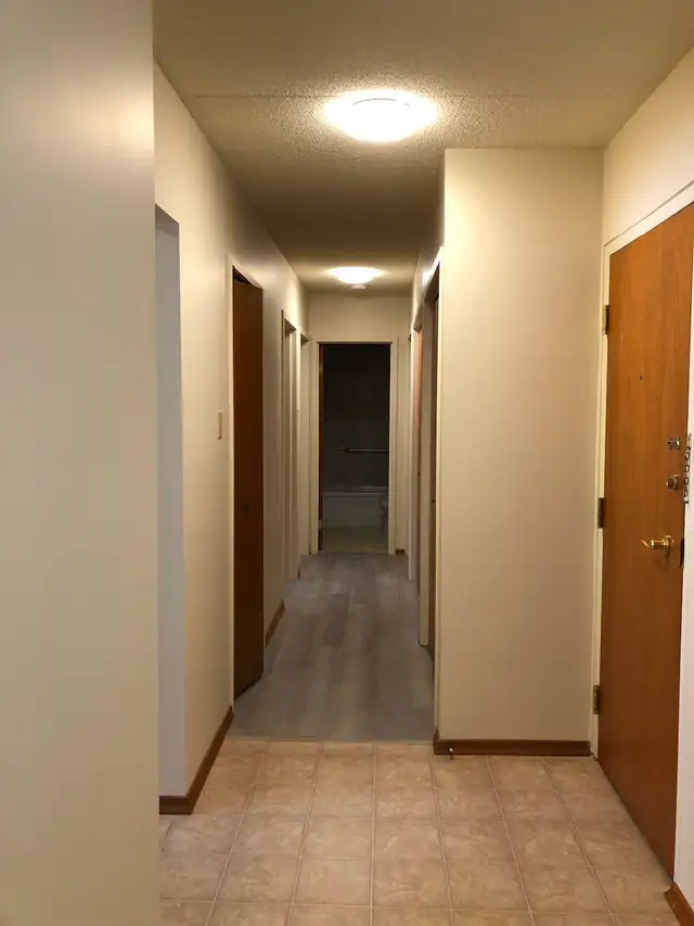 Large 2 Bedroom Apartment w Balcony, N-Ward - Photo 4