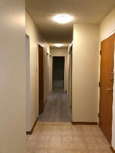 Large 2 Bedroom Apartment w Balcony, N-Ward - Photo 4