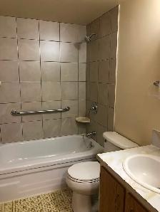 Large 2 Bedroom Apartment w Balcony, N-Ward - Photo 5