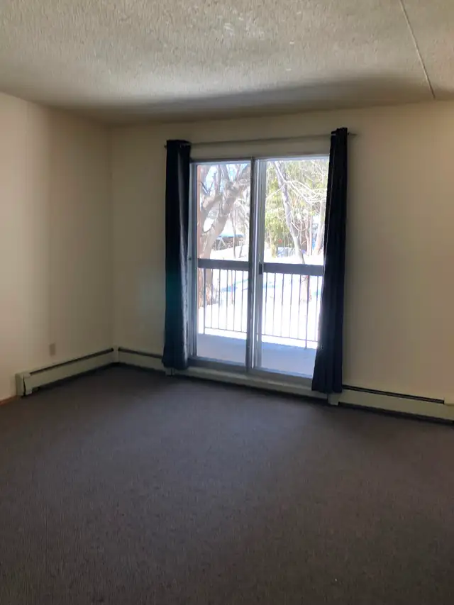 Large 2 Bedroom Apartment w Balcony, N-Ward - Photo 6