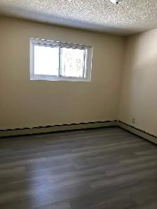Large 2 Bedroom Apartment w Balcony, N-Ward - Photo 7