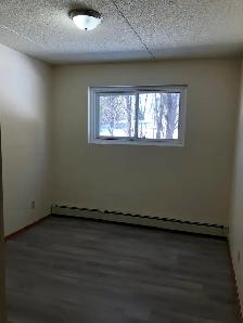 Large 2 Bedroom Apartment w Balcony, N-Ward - Photo 8