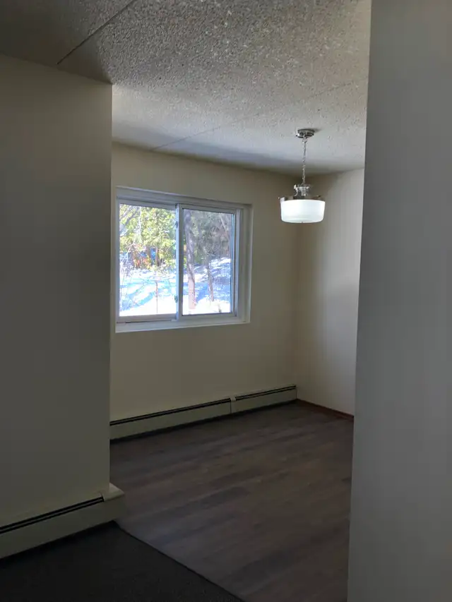 Large 2 Bedroom Apartment w Balcony, N-Ward - Photo 9