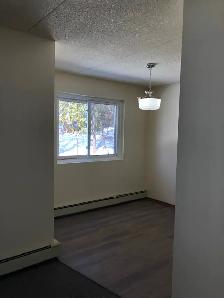Large 2 Bedroom Apartment w Balcony, N-Ward - Photo 9