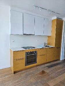 Central Surrey - One Bedroom Microsuite - Photo 3