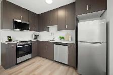 Newly Renovated Studio! Available June 1st! - Photo 2