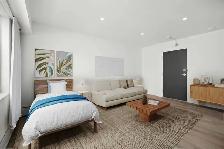 Newly Renovated Studio! Available June 1st! - Photo 3