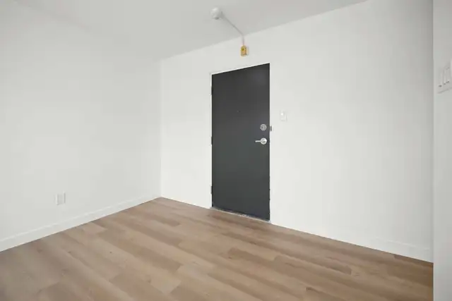 Newly Renovated Studio! Available June 1st! - Photo 7