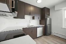 Newly Renovated Studio! Available June 1st! - Photo 9